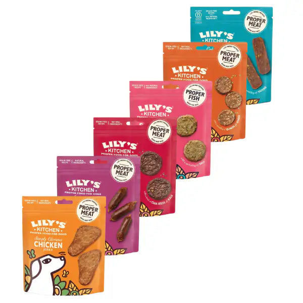 Lily's Kitchen Snack Treats 70 gr   Bauzaar.it