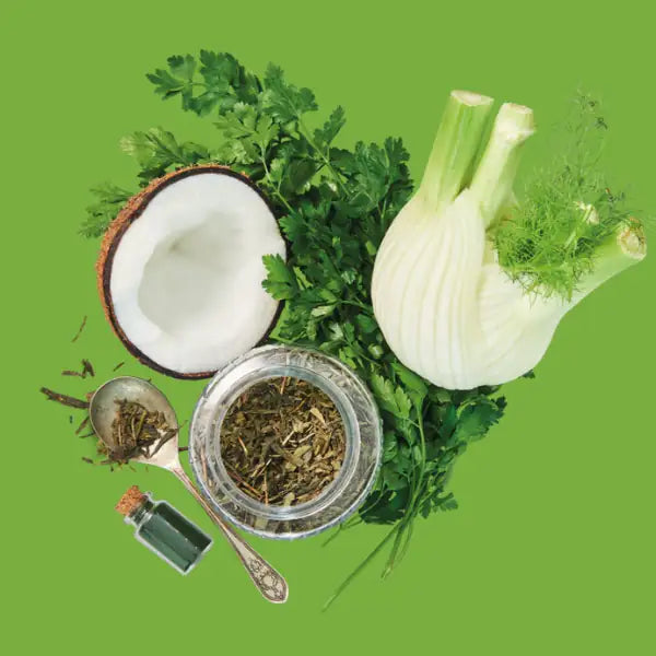 Lily's Kitchen Woofbrush Dental Snack   bauzaarit.myshopify.com