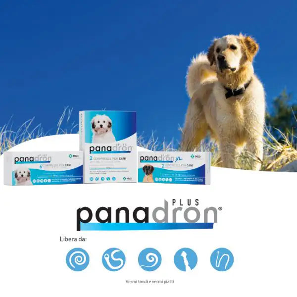 MSD Panadron Plus XL vermifugo compresse per cani +35 Kg   bauzaarit.myshopify.com