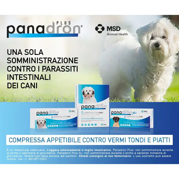 MSD Panadron Plus XL vermifugo compresse per cani +35 Kg   bauzaarit.myshopify.com