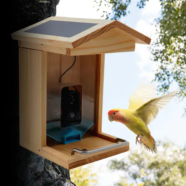 Mangiatoia Smart WiFi mangiatoia per uccelli con telecamera HD Croci Birds   bauzaarit.myshopify.com