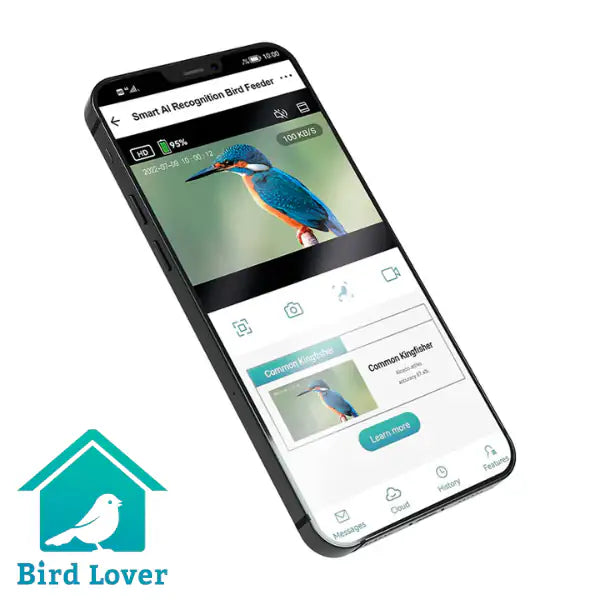 Mangiatoia Smart WiFi mangiatoia per uccelli con telecamera HD Croci Birds   bauzaarit.myshopify.com