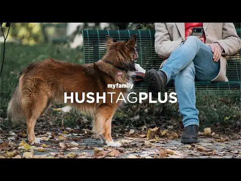 Medaglietta identificativa con Hushtag Plus QR Code Osso My Family   bauzaarit.myshopify.com