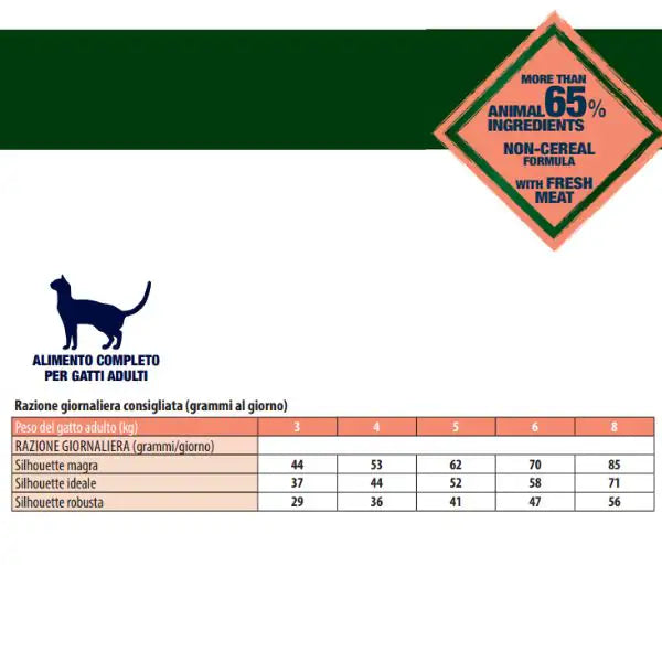Monge Bwild Cat Adult Grain Free Salmone   bauzaarit.myshopify.com