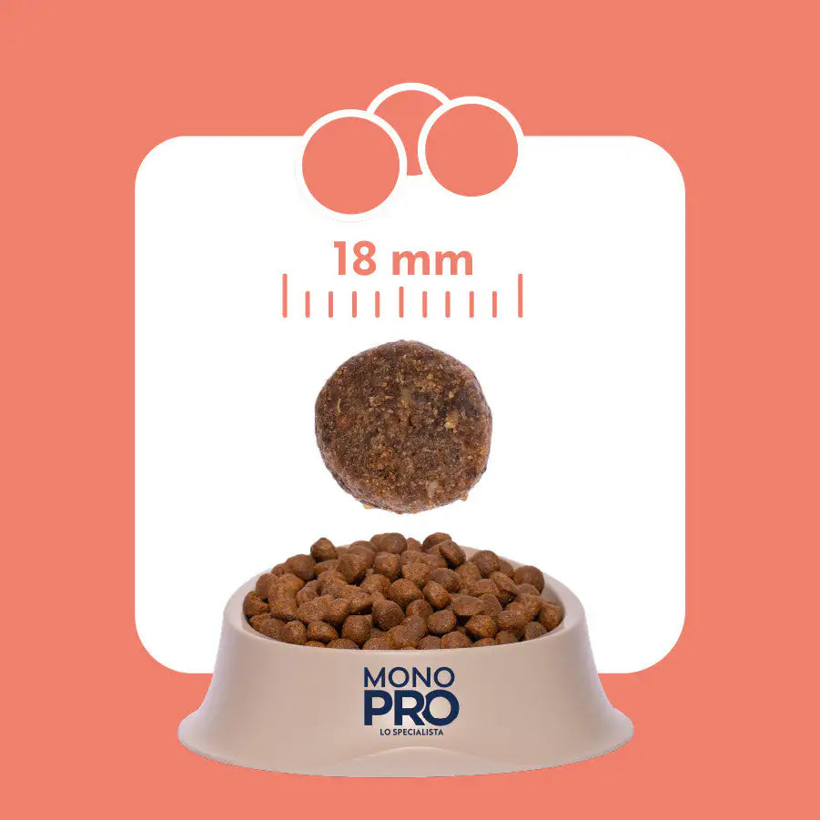 Monopro lo specialista Adult All Breeds Grain Free Salmone   bauzaarit.myshopify.com