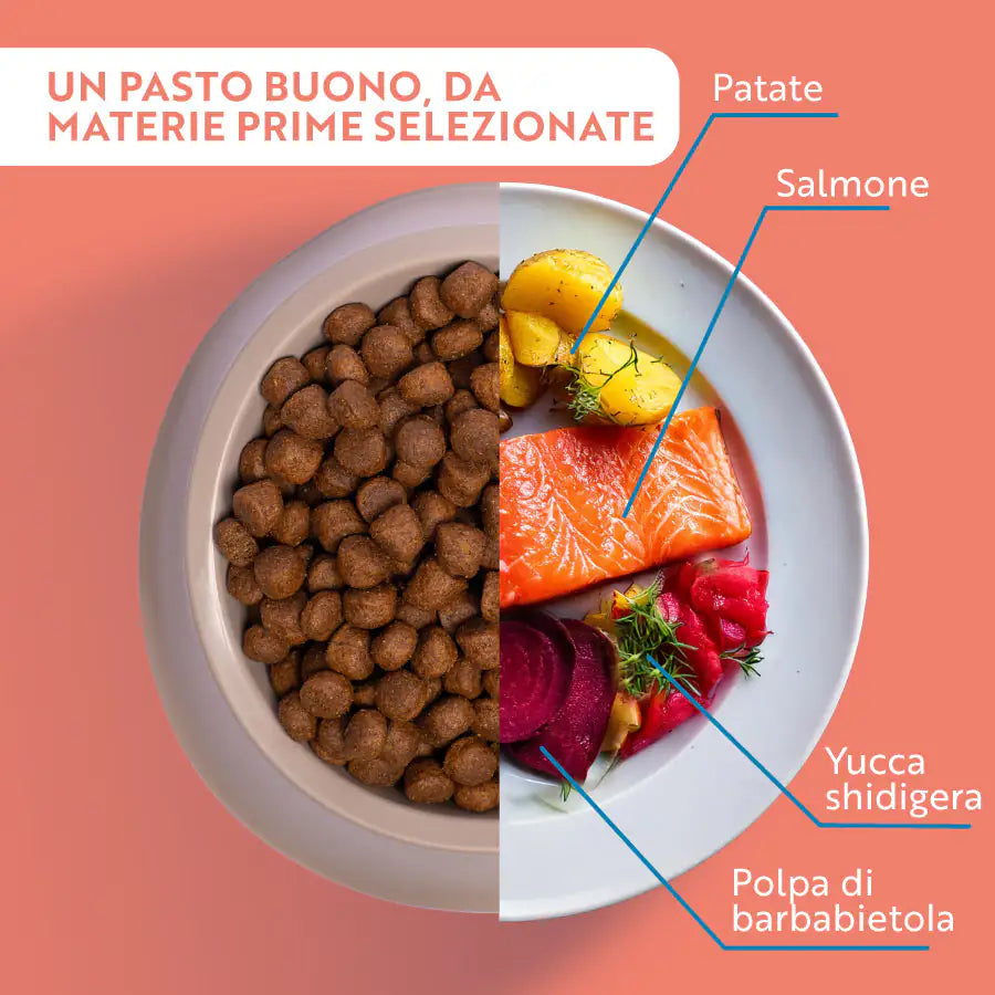 Monopro lo specialista Adult All Breeds Grain Free Salmone   bauzaarit.myshopify.com