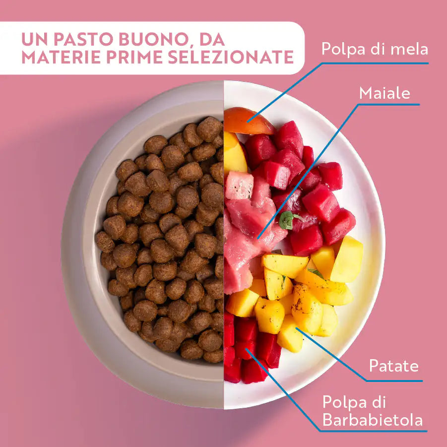 Monopro lo specialista Adult Medium/Large Grain Free Maiale   bauzaarit.myshopify.com