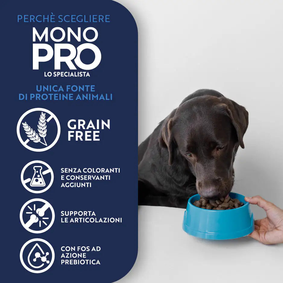 Monopro lo specialista Adult Medium/Large Grain Free Maiale   bauzaarit.myshopify.com