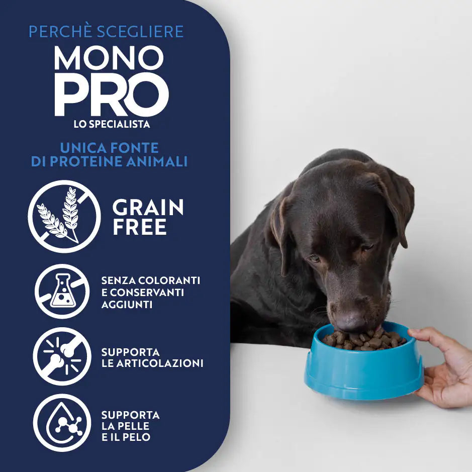 Monopro lo specialista Adult Medium/Large Grain Free Pollo   bauzaarit.myshopify.com