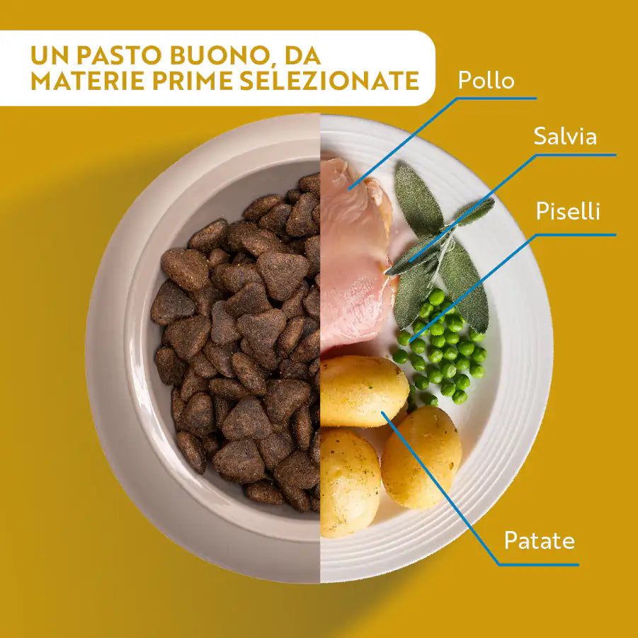Monopro lo specialista Adult Medium/Large Grain Free Pollo   bauzaarit.myshopify.com