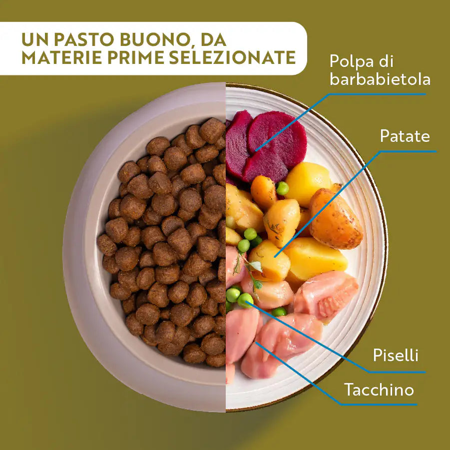 Monopro lo specialista Adult Medium/Large Grain Free Tacchino   bauzaarit.myshopify.com
