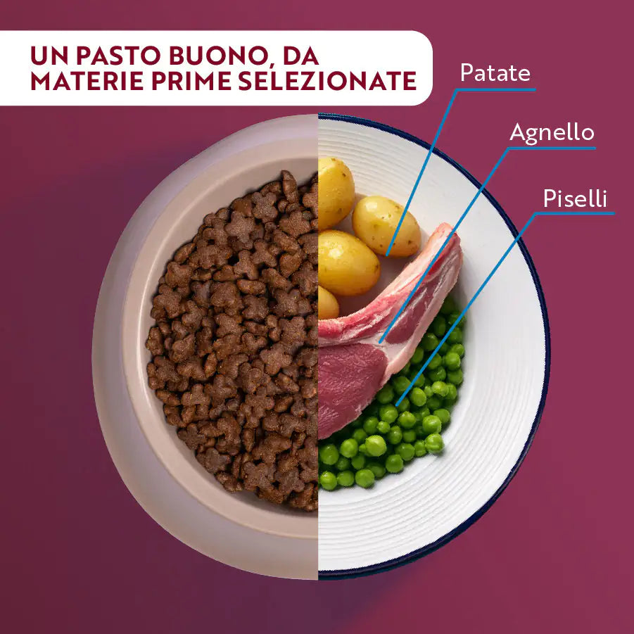 Monopro lo specialista Adult Mini Grain Free Agnello   bauzaarit.myshopify.com