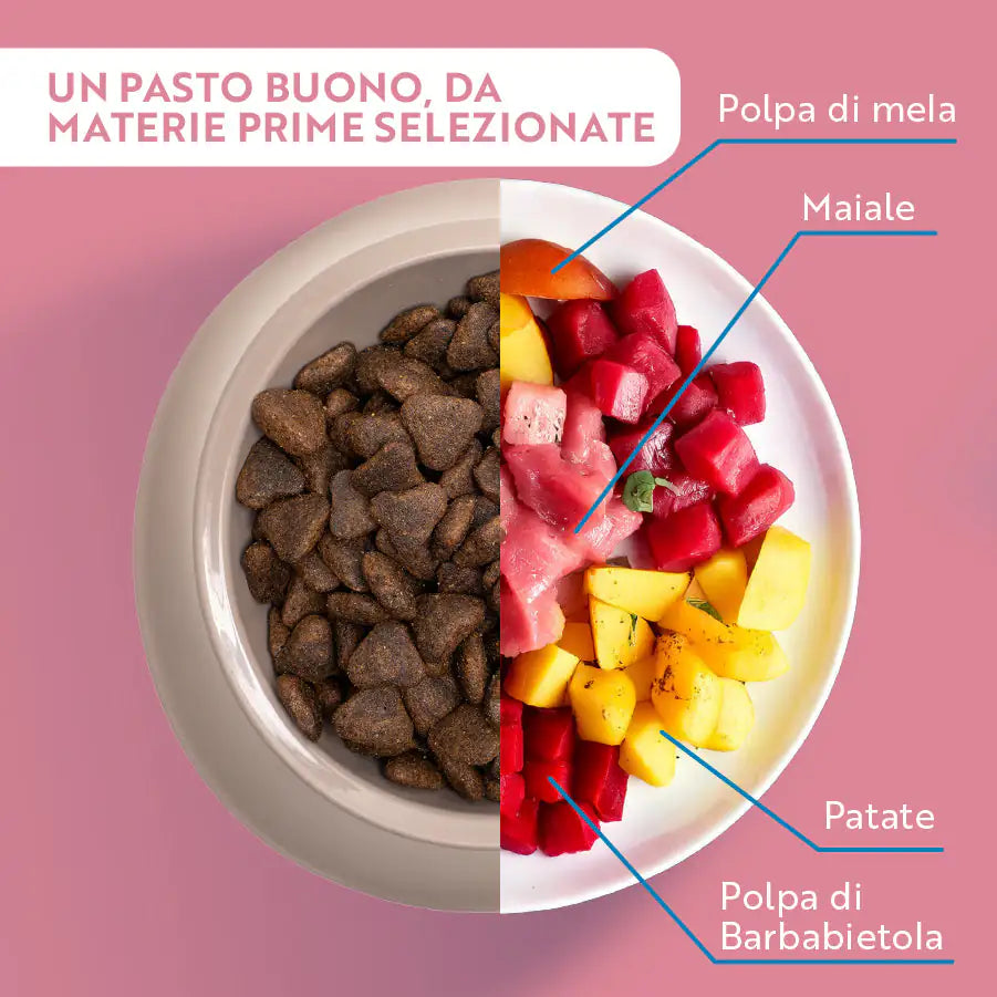 Monopro lo specialista Adult Mini Grain Free Maiale   bauzaarit.myshopify.com