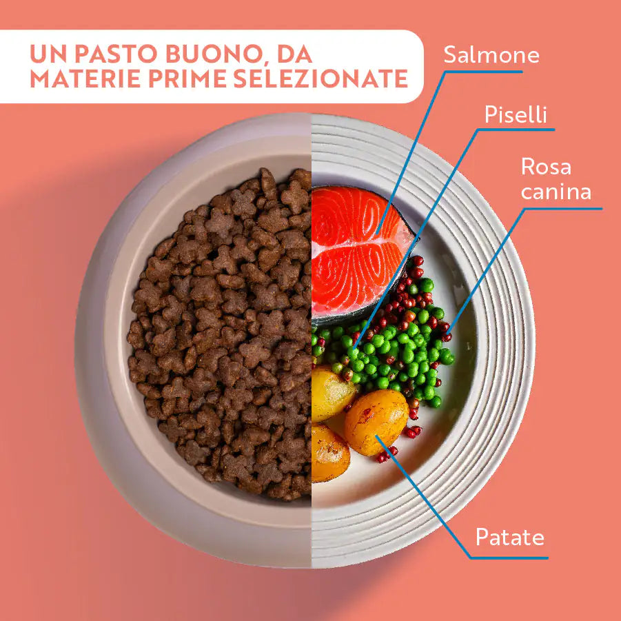 Monopro lo specialista Adult Mini Grain Free Salmone   bauzaarit.myshopify.com