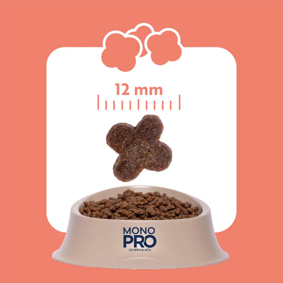 Monopro lo specialista Adult Mini Grain Free Salmone   bauzaarit.myshopify.com