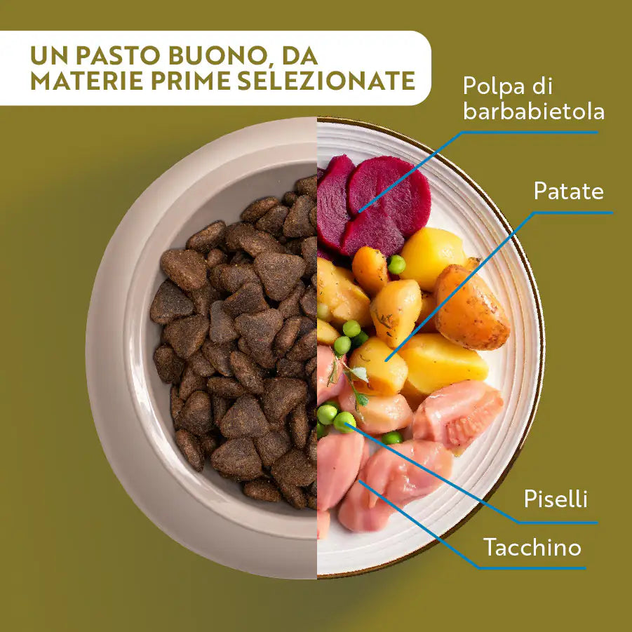 Monopro lo specialista Adult Mini Grain Free Tacchino   bauzaarit.myshopify.com