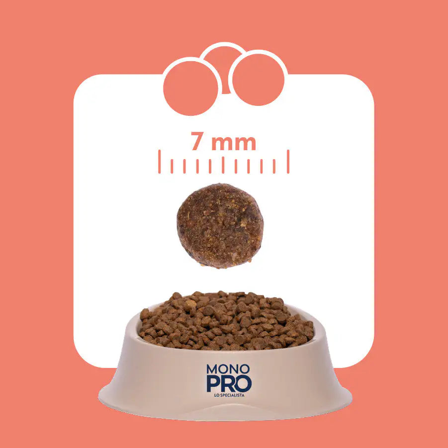Monopro lo specialista Cat Adult Grain Free Salmone   bauzaarit.myshopify.com
