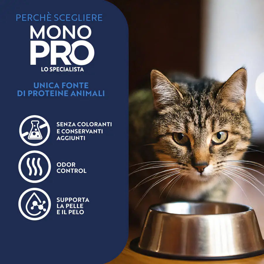 Monopro lo specialista Cat Adult Grain Free Salmone   bauzaarit.myshopify.com