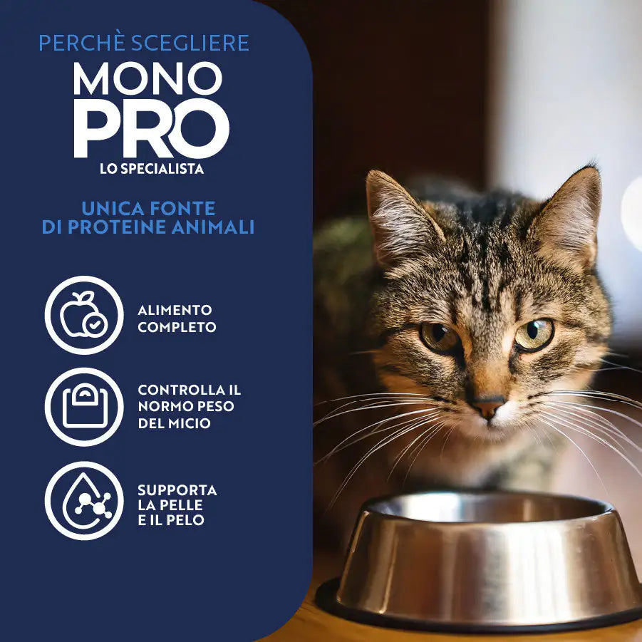 Monopro lo specialista Cat Adult Mousse Grain Free 85 gr   bauzaarit.myshopify.com