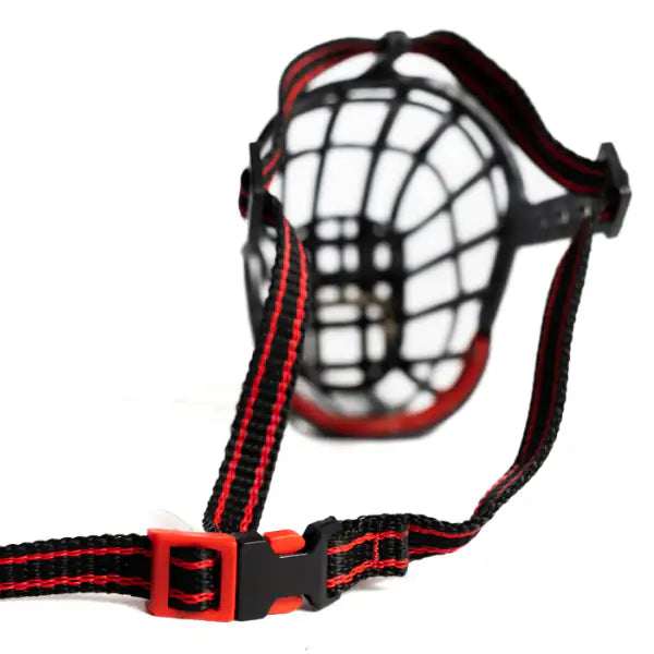 Museruola per cani in plastica PetUp   bauzaarit.myshopify.com