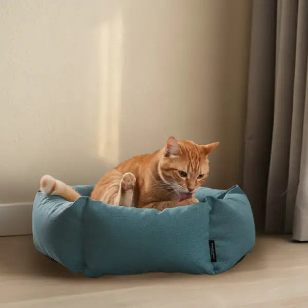 Nasonero Esagono Cuccia per cani e gatti con cuscino sfoderabile   bauzaarit.myshopify.com