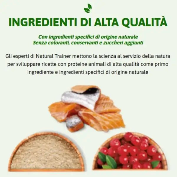 Natural Trainer Daily Nutrition Kitten&Young con Salmone   bauzaarit.myshopify.com