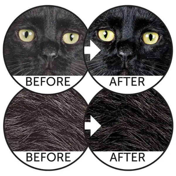 Nature’s Protection Superior Care Cat Dark Cats Grain Free con Pesce Azzurro   bauzaarit.myshopify.com