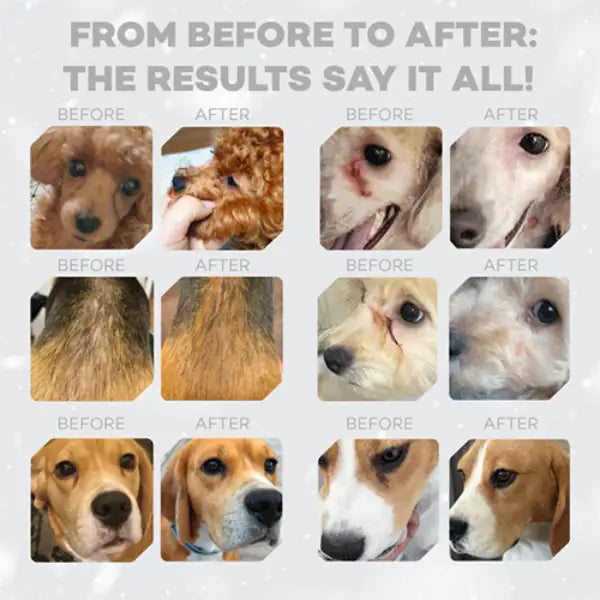 Nature’s Protection Superior Care Dog Adult Small e Mini Red Coat Grain Free Agnello   bauzaarit.myshopify.com