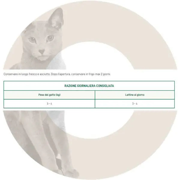 Oasy Caprice Cat Adult Dadini in salsa 85 gr   bauzaarit.myshopify.com