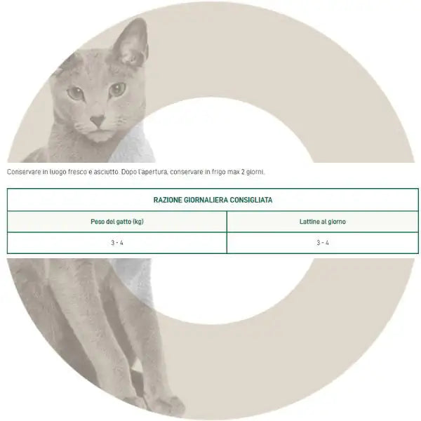 Oasy Caprice Cat Adult Terrine 85 gr   bauzaarit.myshopify.com