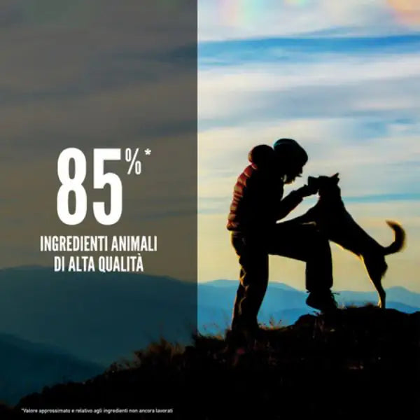 Orijen Original Adult Dog Food   bauzaarit.myshopify.com