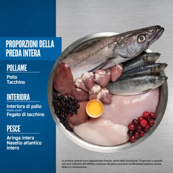 Orijen Original Adult Dog Food   bauzaarit.myshopify.com