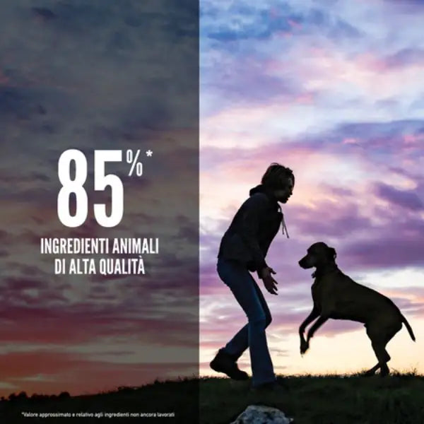 Orijen Puppy Large Dog Food   bauzaarit.myshopify.com