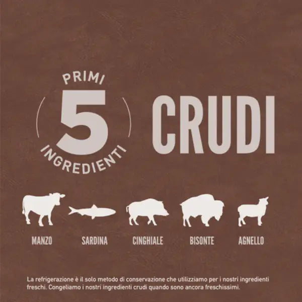 Orijen Regional Red Cat Food   bauzaarit.myshopify.com