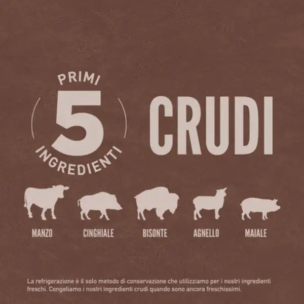 Orijen Regional Red Dog Food   bauzaarit.myshopify.com