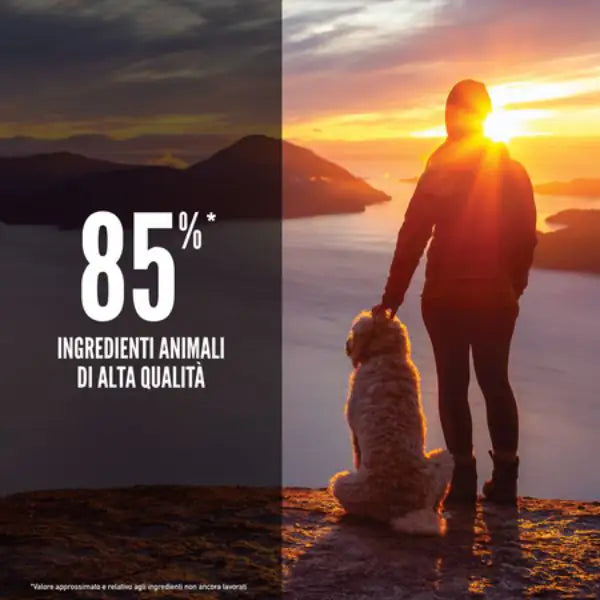 Orijen Senior Dog Food   bauzaarit.myshopify.com