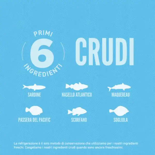 Orijen Six Fish Cat Food   bauzaarit.myshopify.com