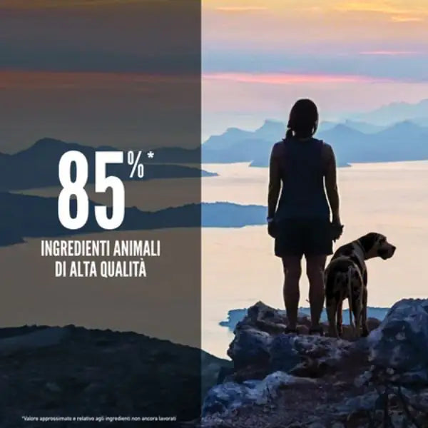 Orijen Six Fish Dog Food   bauzaarit.myshopify.com