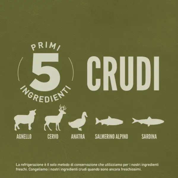 Orijen Tundra Dog Food   bauzaarit.myshopify.com