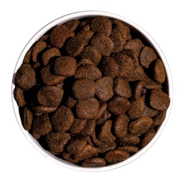 Ownat Grain Free Hypoallergenic Mono-Proteic All Breeds Adult con salmone fresco   bauzaarit.myshopify.com