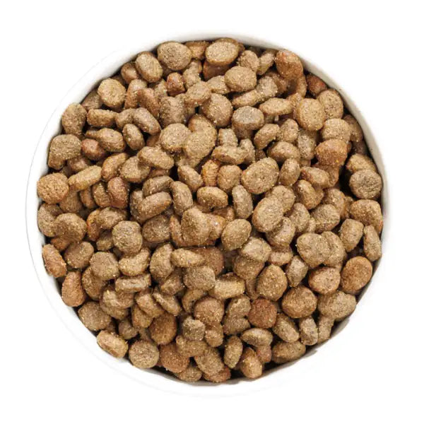 Ownat Grain Free Hypoallergenic Mono-Proteic Mini Adult con agnello fresco   bauzaarit.myshopify.com