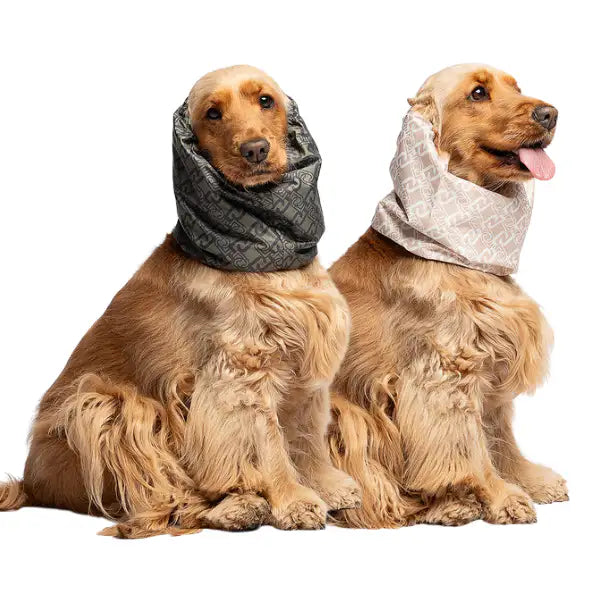 Paraorecchie-collo traspirante per cani dalle orecchie lunghe Monogram Liu Jo Pets   Bauzaar.it
