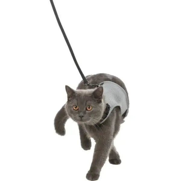 Parure per gatti pettorina + guinzaglio trasprirante Trixie   bauzaarit.myshopify.com