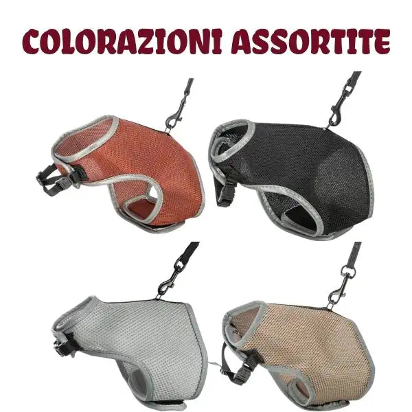 Parure per gatti pettorina + guinzaglio trasprirante Trixie   bauzaarit.myshopify.com