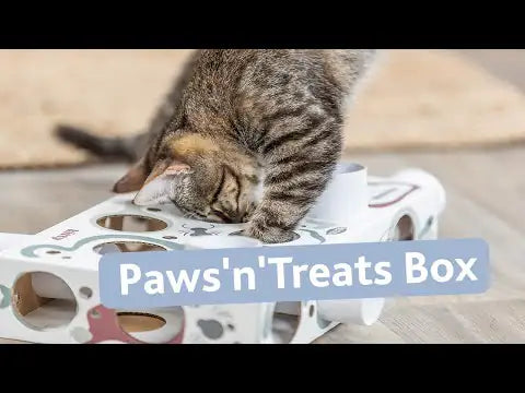 Paws'n'Treats Box gioco per gatti di attivazione mentale Trixie   bauzaarit.myshopify.com