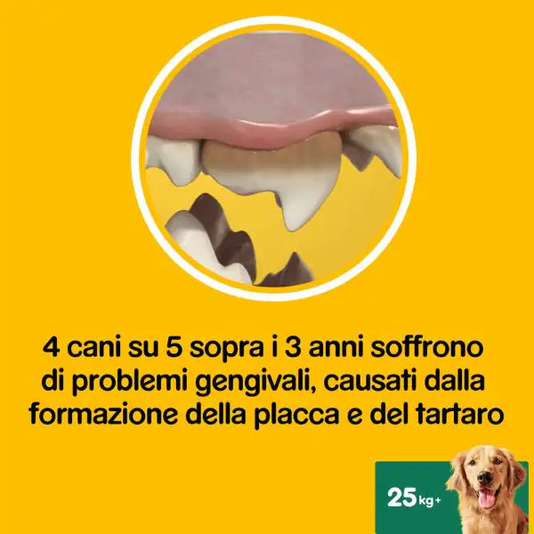 Pedigree Dentastix Fresh Large snack per l'igiene orale   bauzaarit.myshopify.com