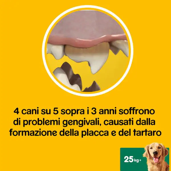 Pedigree Dentastix Large snack per l'igiene orale   bauzaarit.myshopify.com