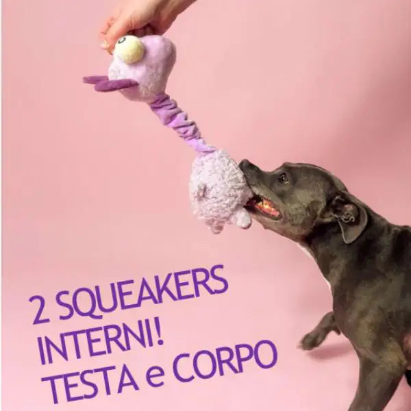 Peluche Neck Minnits con doppio Squeakers interno e collo elastico FuzzYard   bauzaarit.myshopify.com