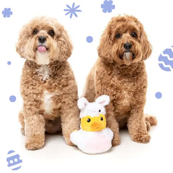 Peluche gioco per cani con squeaker FuzzYard   bauzaarit.myshopify.com