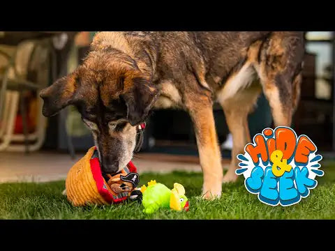Peluche interattivo Hide&Seek per cani Croci   bauzaarit.myshopify.com
